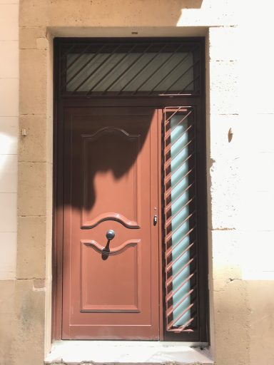 Reja de seguridad en puerta de entrada 
