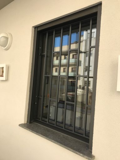 Reja de seguridad 